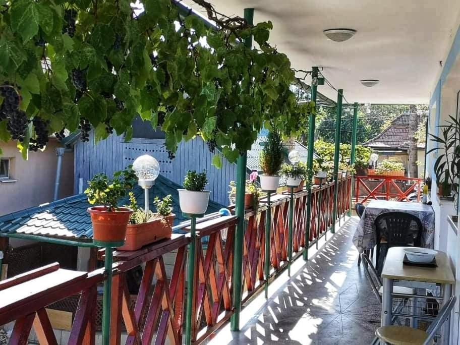 Casa Vinco Vici Hotel Turda Luaran gambar